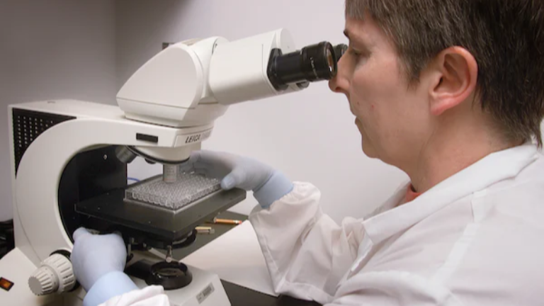 T-knife Therapeutics Announces Dosing of First Patient with TK-8001 in the IMAG1NE Phase 1/2 Clinical Trial
