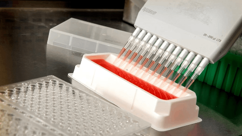 Greenwich LifeSciences Provides Update on Open Label HLA Data from FLAMINGO-01
