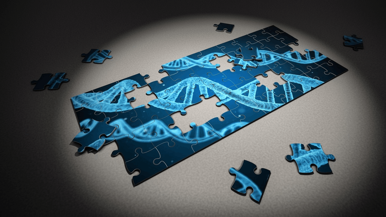 Kura Oncology Announces Preclinical Data for KO-2806 Selected for Oral Presentation at the 2025 AACR Annual Meeting