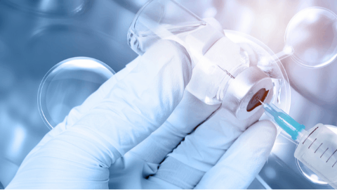 Y-mAbs Therapeutics Announces U.S. FDA Clearance of Investigational New Drug Application for CD38-SADA