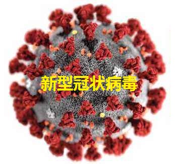 对奥密克戎变异株有完全中和活性！礼来与美国政府签订7.2亿美元协议：供应60万剂单抗bebtelovimab!