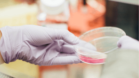 Processa Pharmaceuticals Completes Enrollment of 20th Patient for Formal Interim Analysis in Phase 2 NGC-Cap Breast Cancer Study