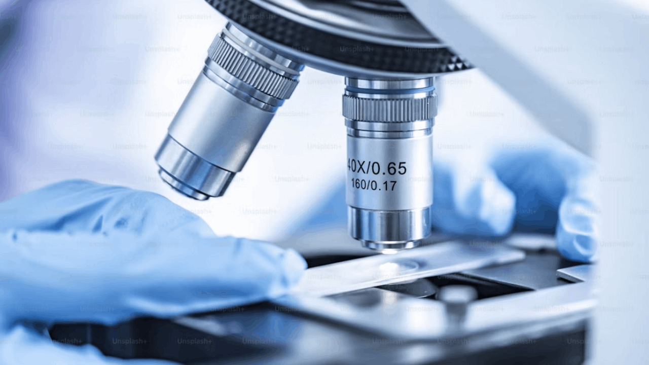 Phanes Therapeutics Receives FDA Fast Track Designation for Spevatamig in Advanced and Metastatic Biliary Tract Carcinoma
