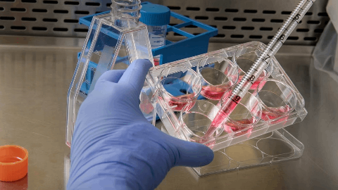 JCR Pharmaceuticals Receives Marketing Authorization in the United Arab Emirates for IZCARGO™, a Blood-Brain Barrier-Penetrating Enzyme Replacement Therapy for Hunter Syndrome