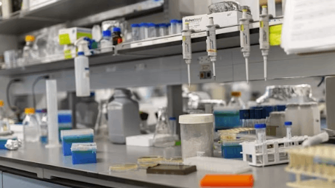 Akari Therapeutics Builds Momentum for AKTX-101 with Compelling Urothelial Cancer Data Supporting Differentiated ADC Strategy