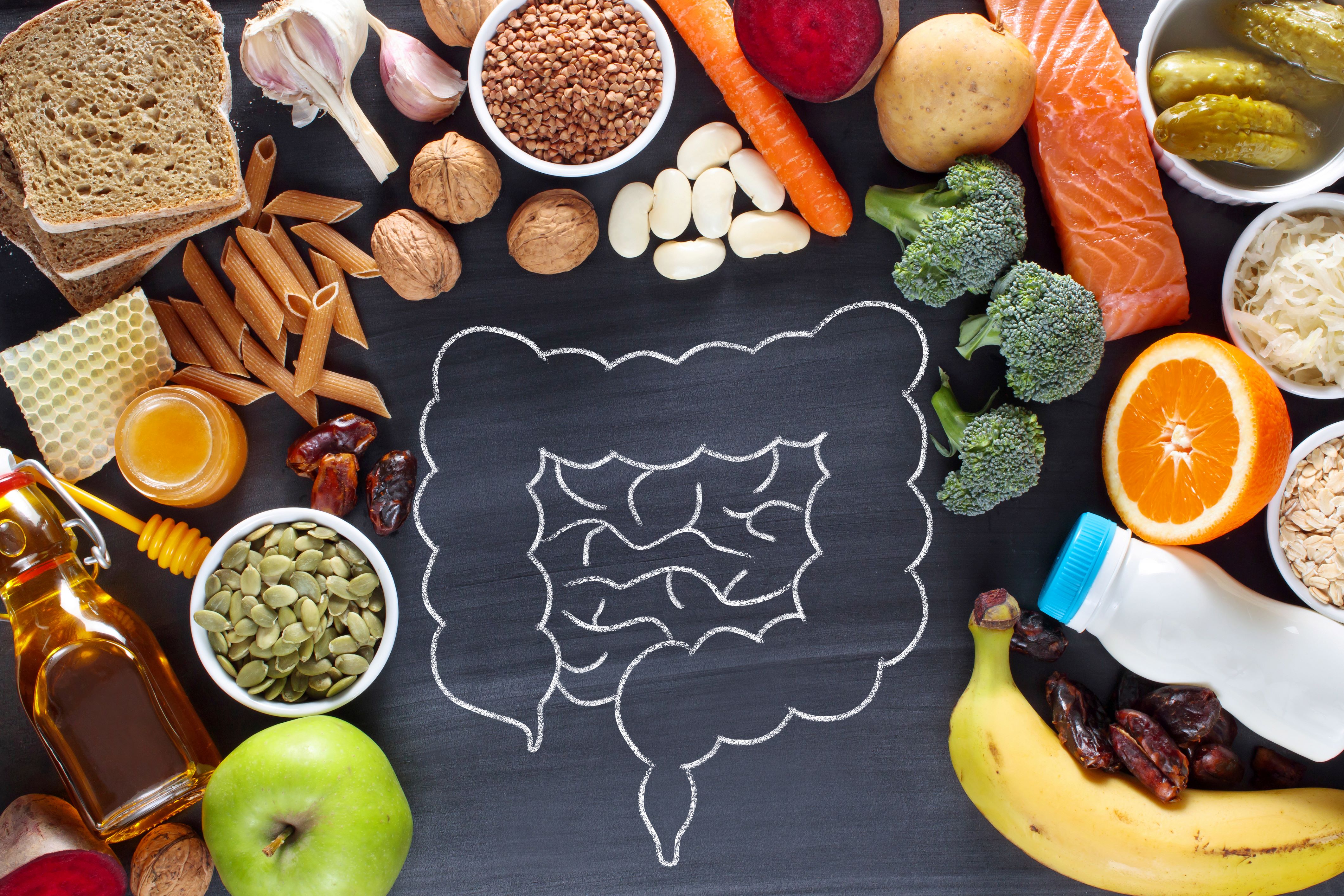 Gut-focused Rasayana ingests gastrointestinal candidate in $36M licensing deal