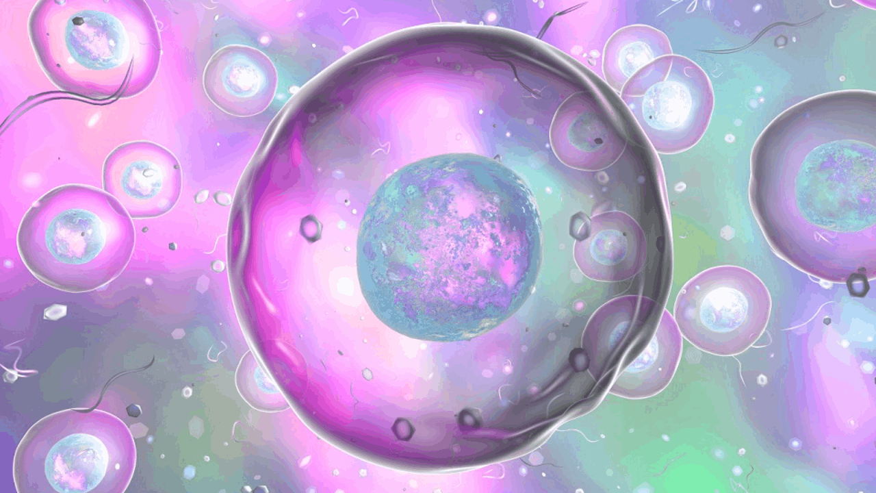 Replay and MD Anderson announce FDA clearance of IND application for first-in-class T-Cell Receptor Natural Killer (TCR-NK) cell therapy for multiple myeloma