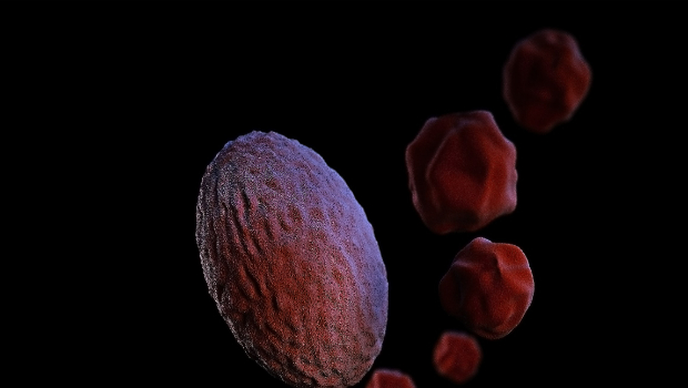 Anthos Therapeutics Announces that Abelacimab has Received FDA Fast Track Designation for the Treatment of Thrombosis Associated with Cancer