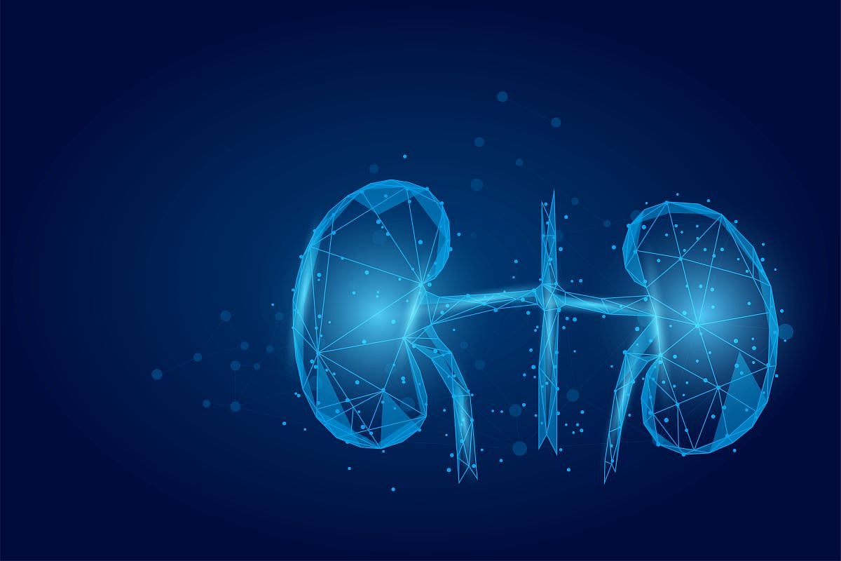 Comparable Progression Risk Seen With Ablation Versus Surgery for T1a Renal Cell Carcinoma