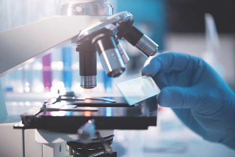 Compass Therapeutics’ tovecimig shows promise in phase 2/3 biliary tract cancer study 