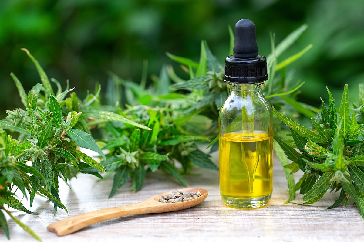 New Law Tightens Hemp Regulations, Threatening 300,000 Jobs