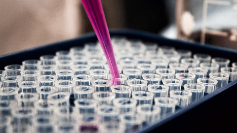 Corvus Pharmaceuticals Announces Presentation of Additional Data from the Phase 1/1b Clinical Trial of Soquelitinib for Patients with T Cell Lymphoma