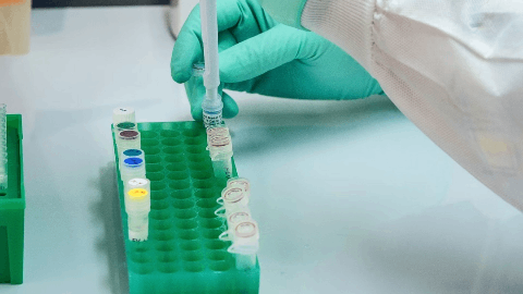 Provectus Biopharmaceuticals Announces Publication of Moffitt Cancer Center Research on PV-10 for Head and Neck Cancer
