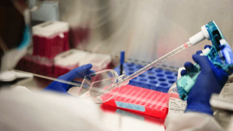 Palisade Bio Announces Granting of Japanese Patent Covering Composition of Matter for Lead Product Candidate, PALI-2108