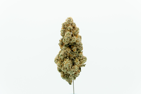 Canopy Growth Relaunches Tweed Brand in Germany with New MTL Cannabis Strain Lineup, Marking First International Release following Acquisition