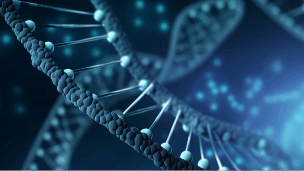 Solid Biosciences Announces IND Clearance by FDA for Duchenne Muscular Dystrophy Gene Therapy Candidate SGT-003