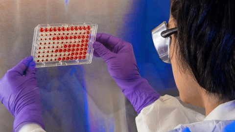 KALA BIO Announces Topline Results from CHASE Phase 2b Clinical Trial Evaluating KPI-012 for the Treatment of Persistent Corneal Epithelial Defect (PCED) Did Not Meet Primary Endpoint