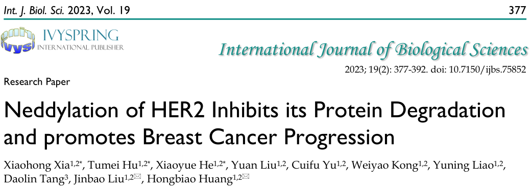 Int. J. Biol. Sci:去甲基化HER2抑制其蛋白质降解促进乳腺癌进展