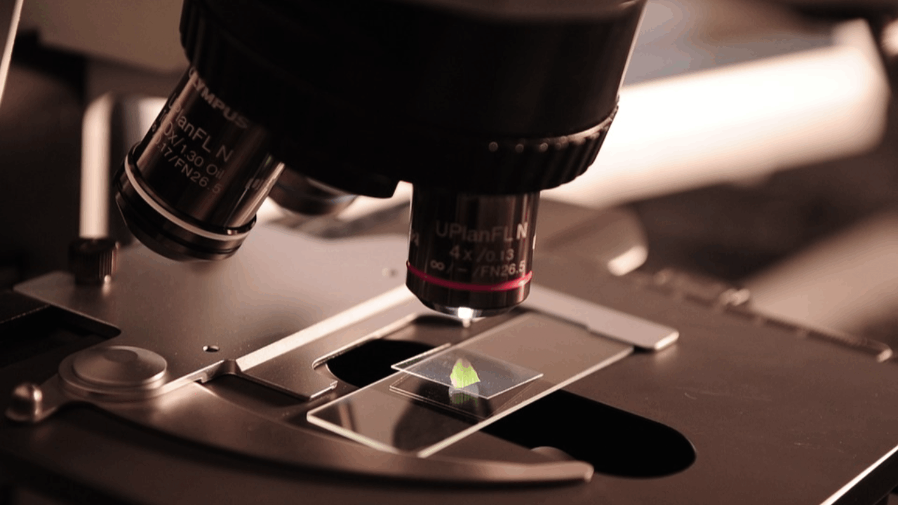Tonix Pharmaceuticals Announces Positive Topline Results from Phase 1 Trial for TNX-1500, a Next Generation anti-CD40L mAb Candidate for Prevention of Kidney Transplant Rejection and Treatment of Autoimmune Diseases