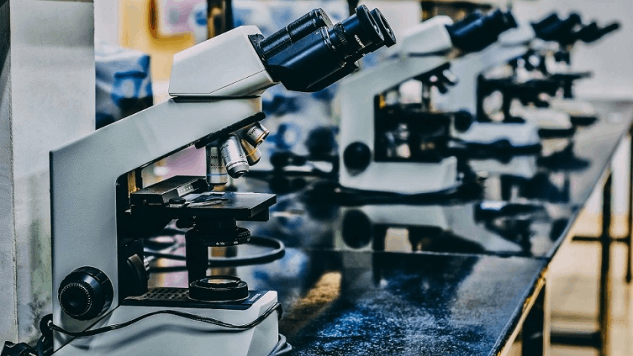 Lilly's EBGLYSS (lebrikizumab-lbkz) delivered up to four years of durable disease control for patients with moderate-to-severe atopic dermatitis