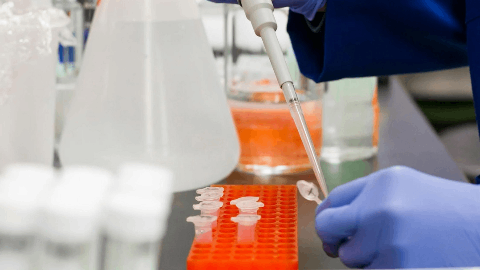 Medicenna to Provide Clinical Update on the MDNA11 ABILITY-1 Trial at the Upcoming American Association for Cancer Research Annual Meeting