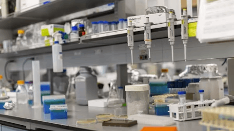 Enhertu® Plus Pertuzumab Recommended for Approval in the EU by CHMP as First-Line Treatment for Patients with HER2 Positive Metastatic Breast Cancer
