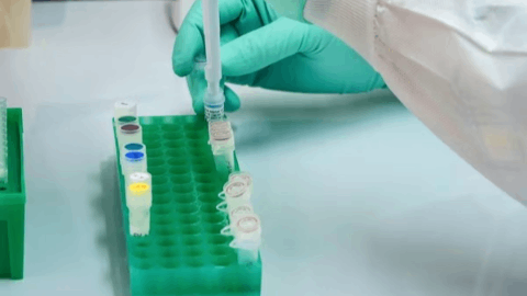 Anixa Biosciences Announces Issuance of Mexican Patent Covering Breast Cancer Vaccine Technology
