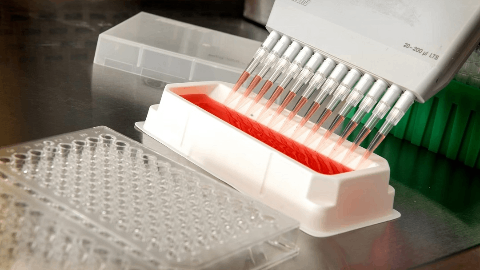 Icovamenib Treatment in Patients with Severe Insulin-Deficient Diabetes Led to a Significant Improvement in Pancreatic Beta-cell Function with a 53% Mean Increase in C-peptide Levels 3 Months After Last Dose